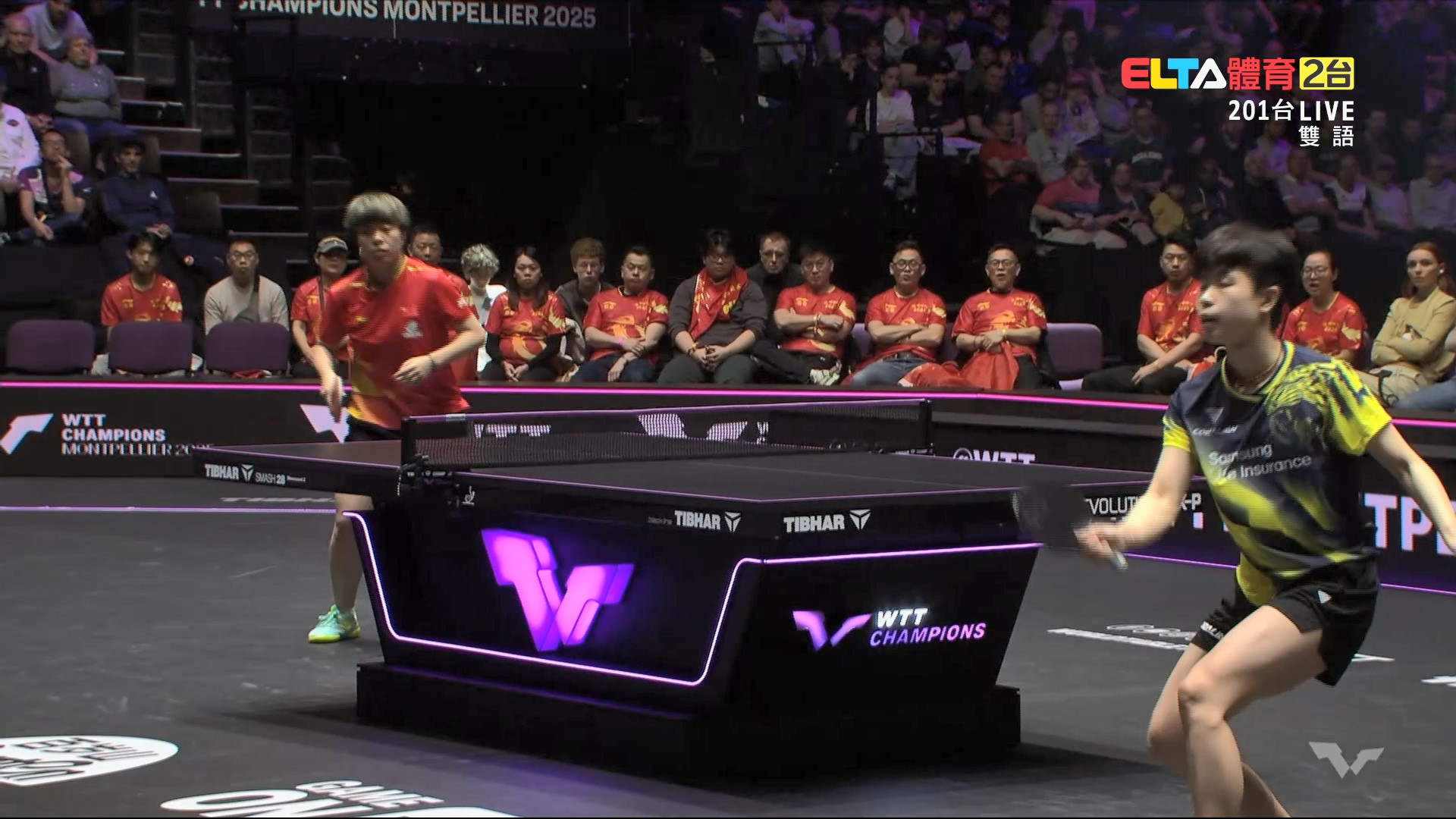 11/2 WTT冠軍賽 蒙佩利爾站 單打四強