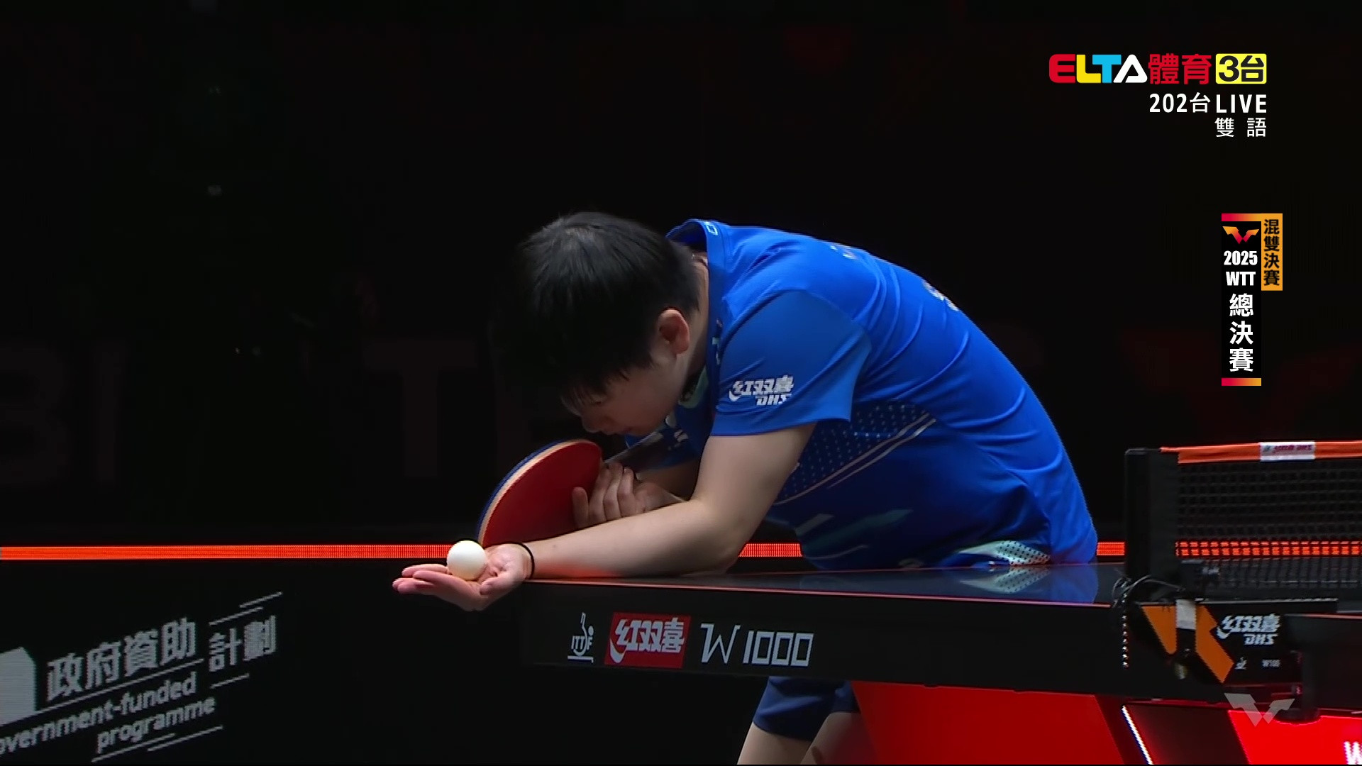 12/13 WTT總決賽 混雙決賽