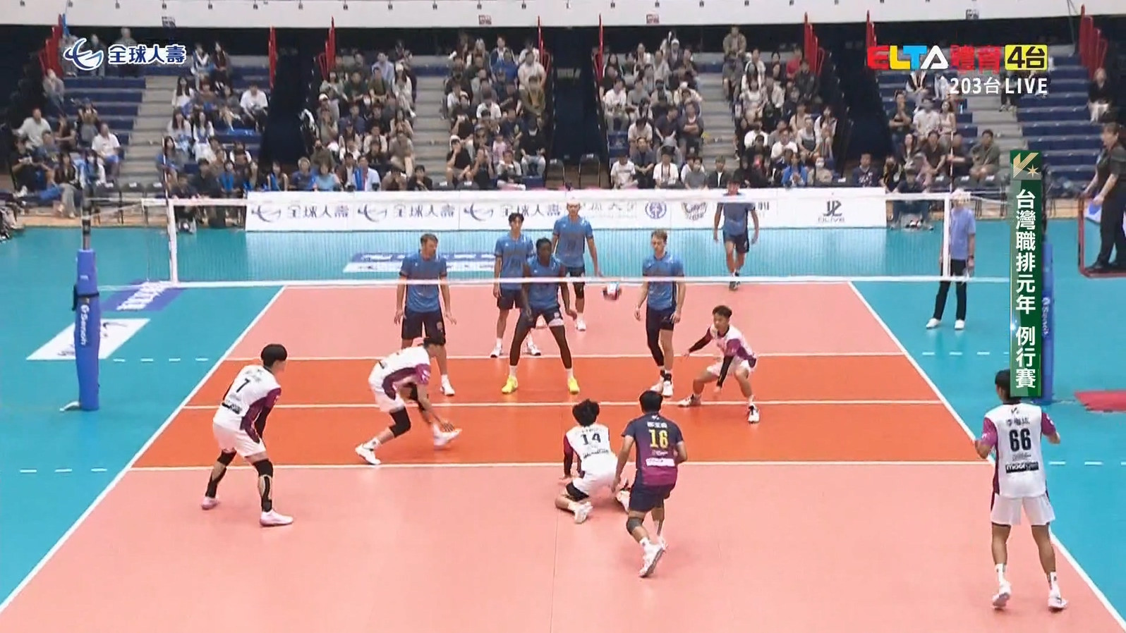 11/16 TPVL 台鋼天鷹 VS 桃園雲豹飛將