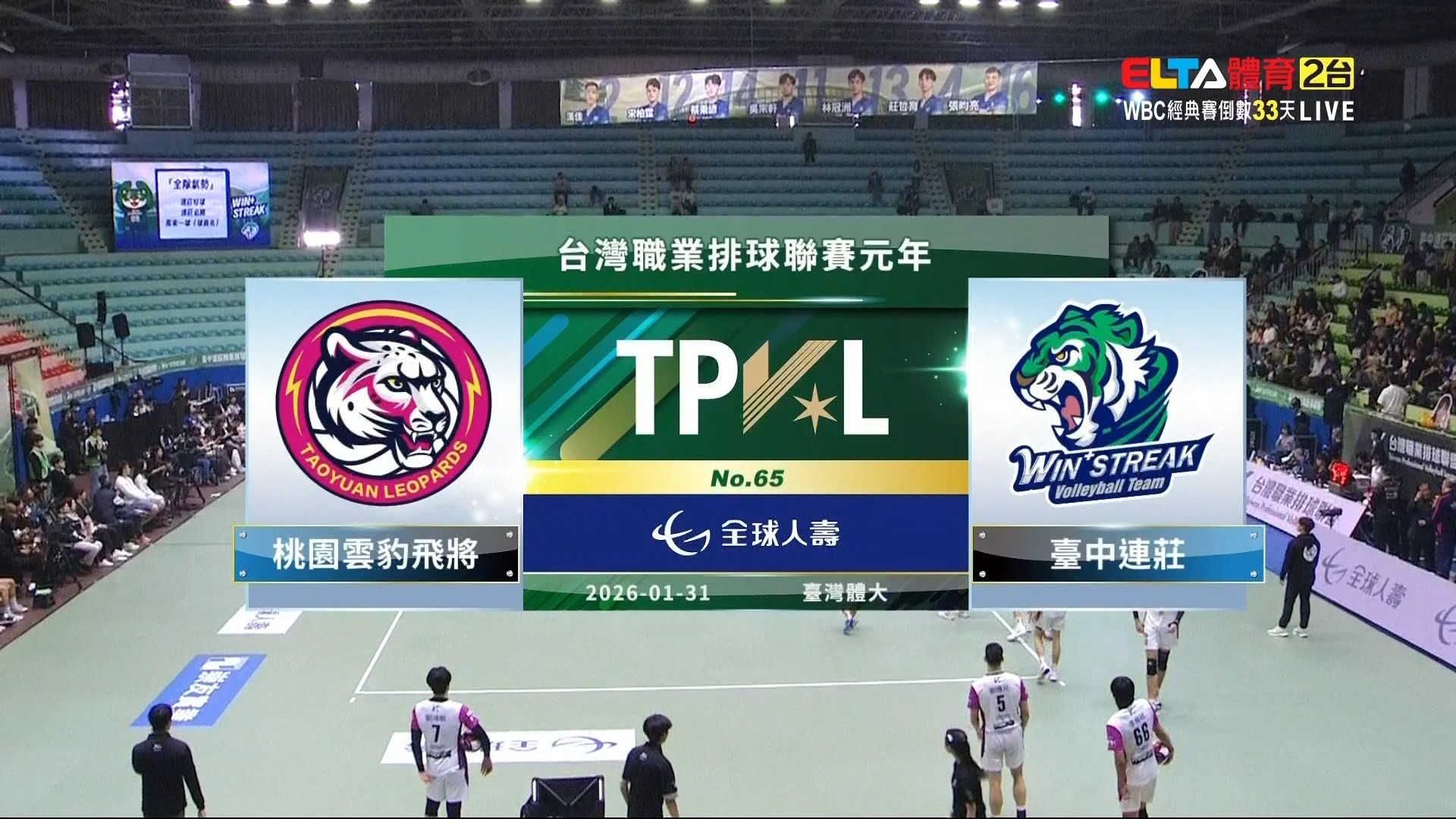 1/31 TPVL 桃園雲豹飛將 VS 台中連莊 例行賽