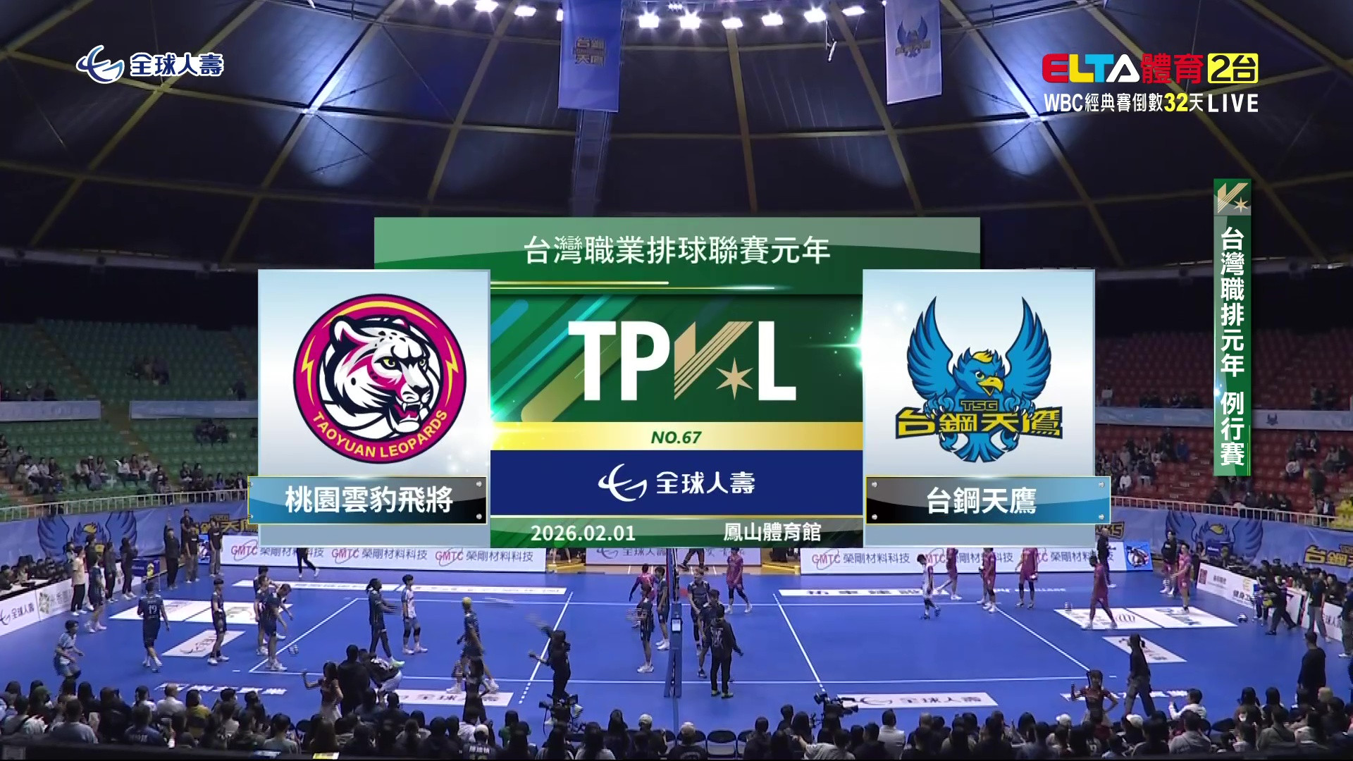 2/1 TPVL 桃園雲豹飛將 VS 台鋼天鷹 例行賽