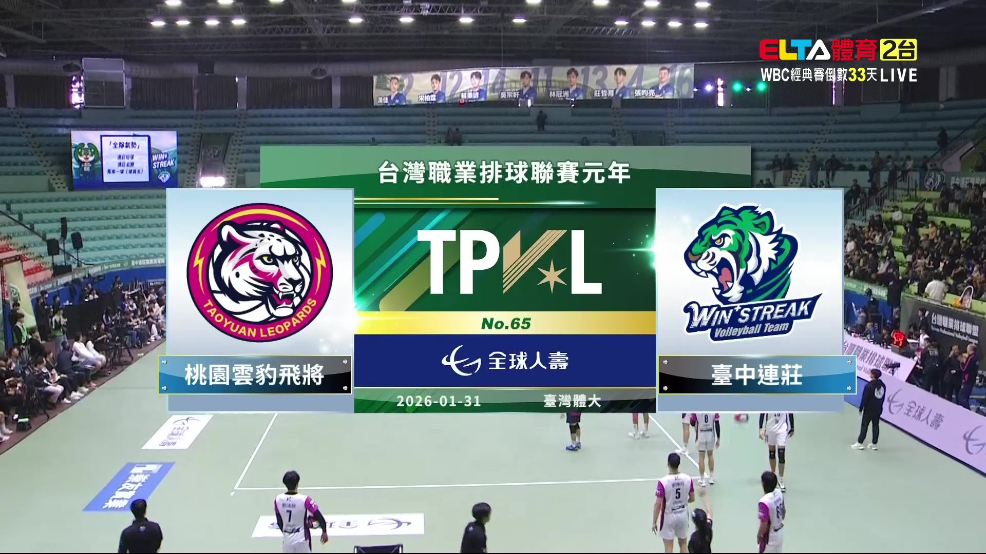 1/31 TPVL 桃園雲豹飛將 VS 台中連莊 例行賽