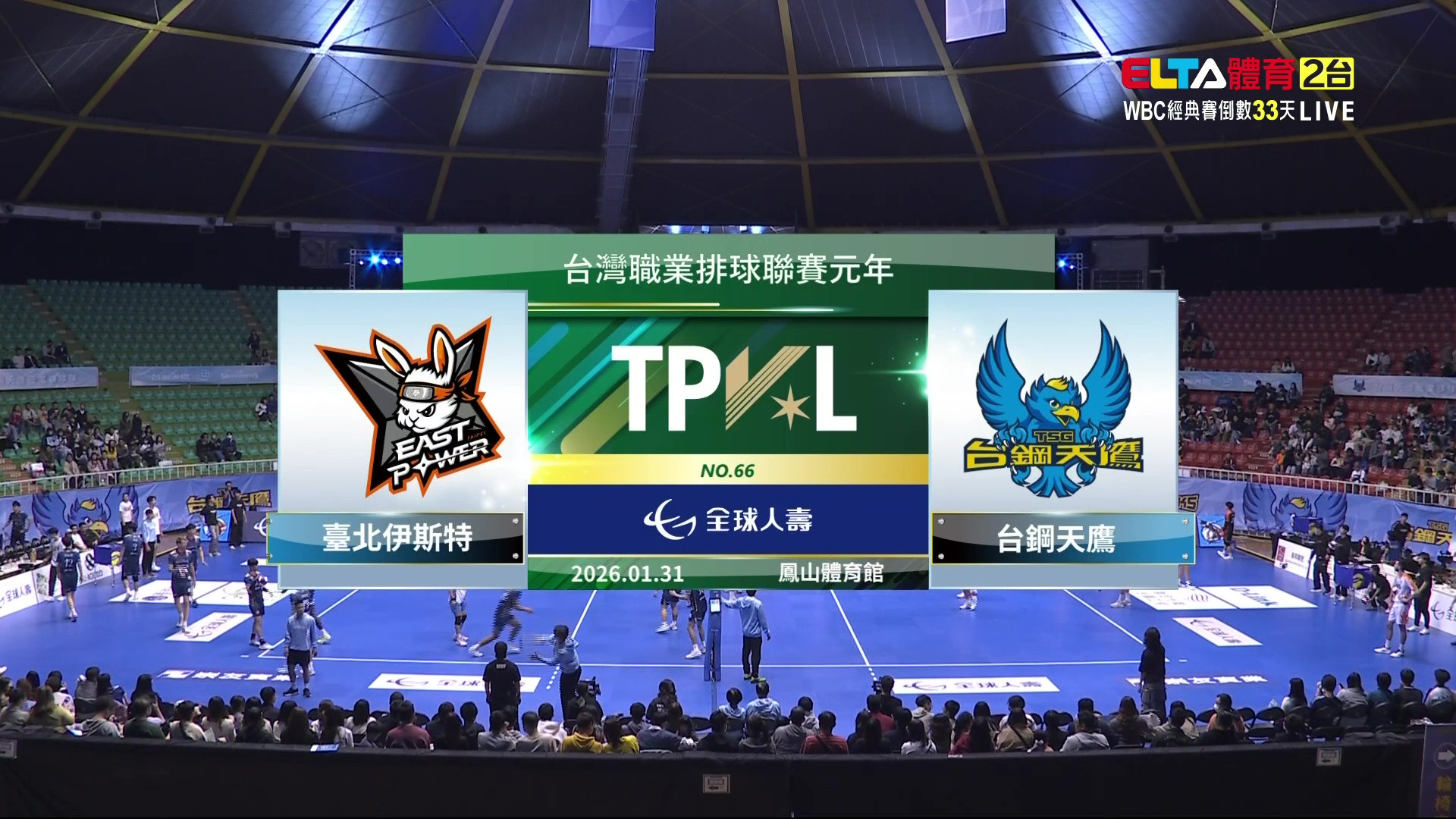 1/31 TPVL 台北伊斯特 VS 台鋼天鷹 例行賽