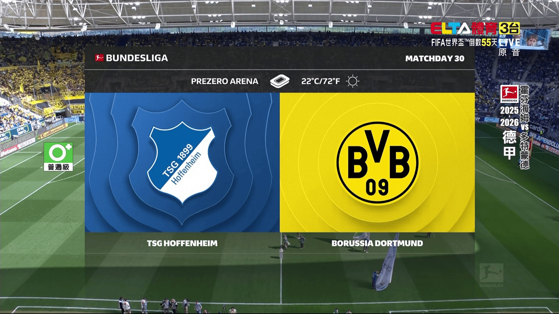 4/18 德甲 霍芬海姆 VS 多特蒙德 第30輪(原音)
