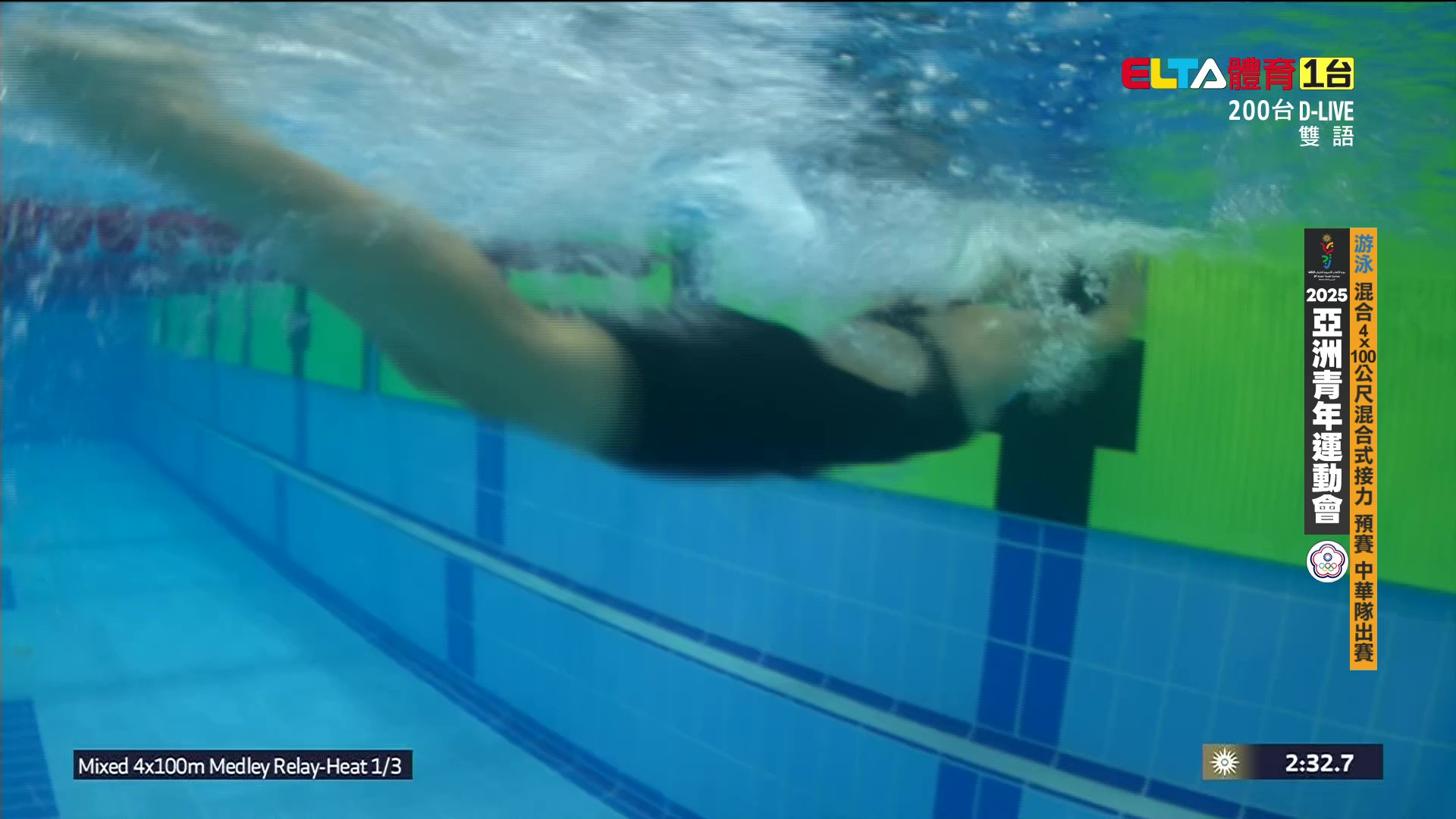 10/29 亞洲青年運動會 中華隊 游泳 預賽