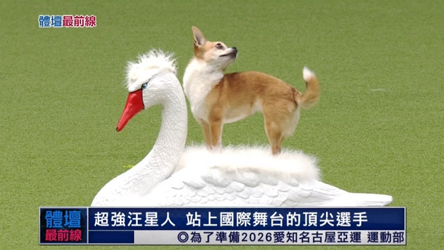 5/6 體壇最前線