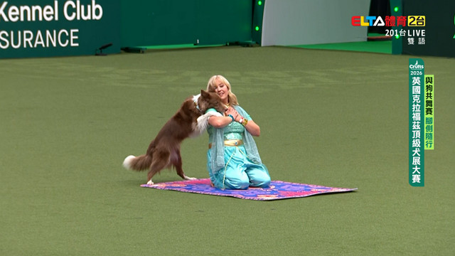 3/5 Crufts與狗共舞賽 腳側隨行