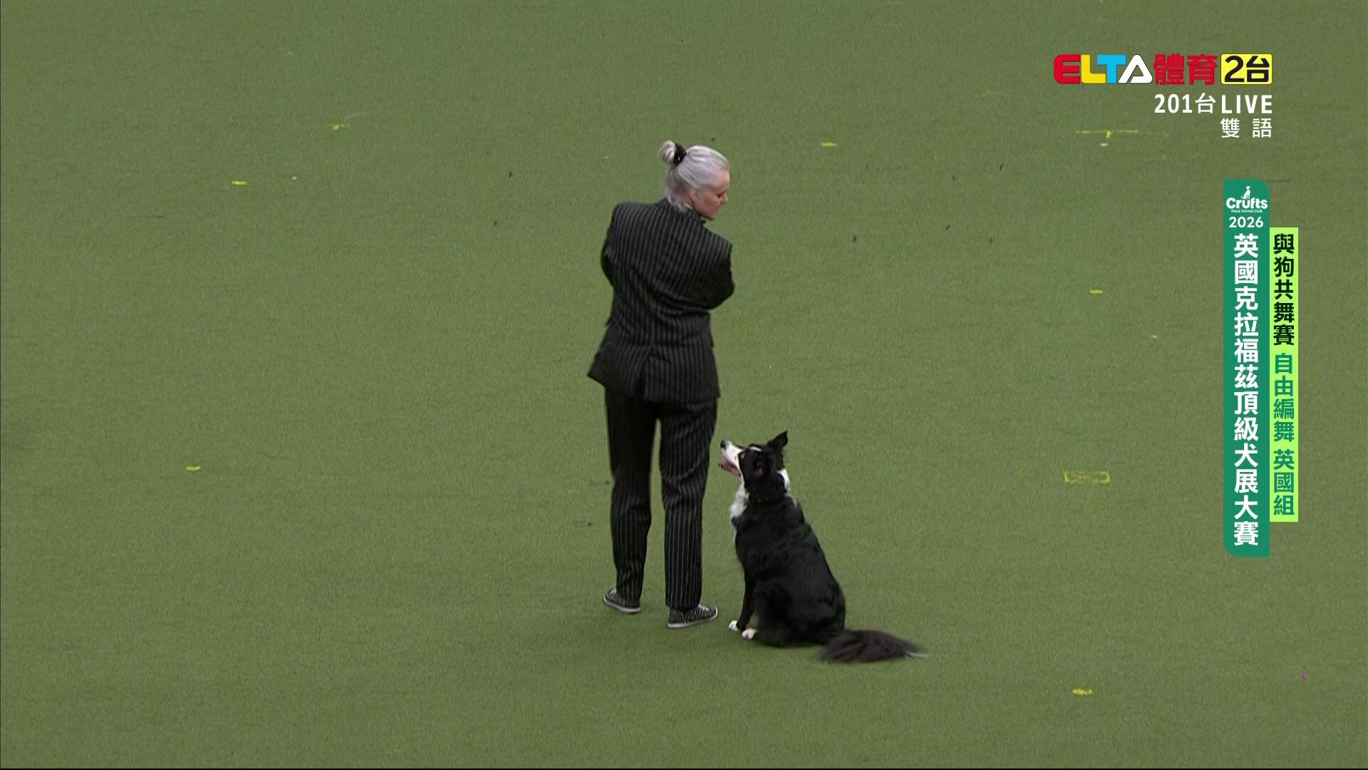 3/6 Crufts與狗共舞自由編舞