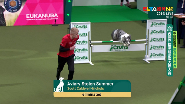 3/5 Crufts敏捷障礙賽 新秀盃 標準賽