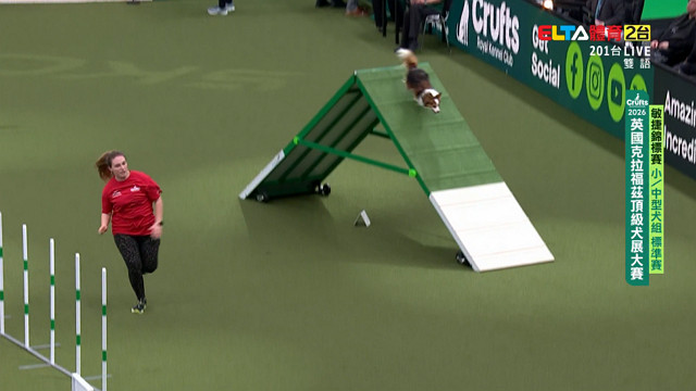 3/5 Crufts敏捷錦標賽 小/中型犬組 標準賽