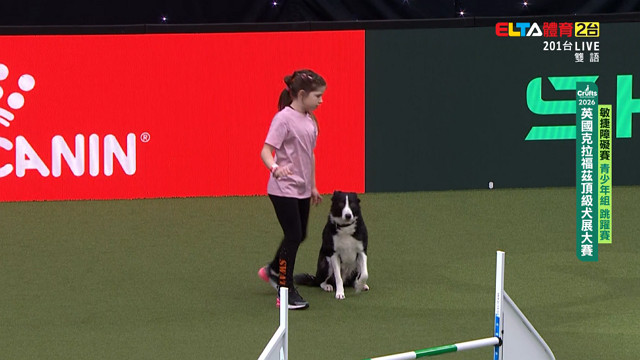 3/5 Crufts敏捷障礙賽 青少年組 跳躍賽