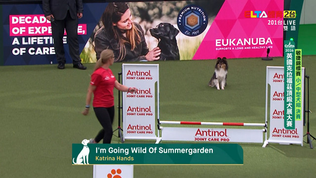 3/5 Crufts敏捷錦標賽 小/中型犬組 決賽