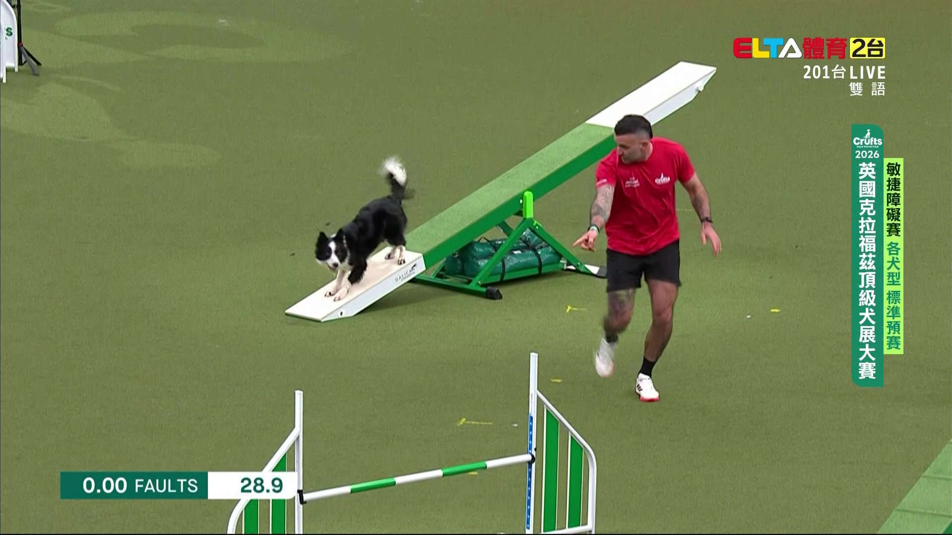 3/7 Crufts 敏捷賽各犬型標準預賽