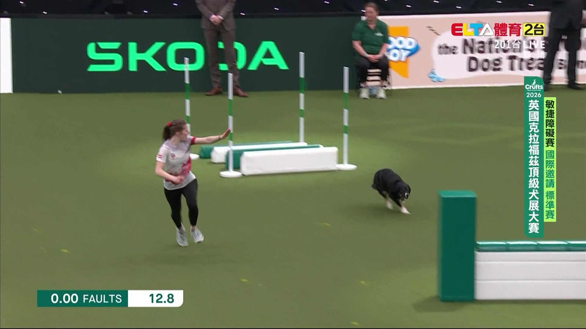 3/7 國際邀請 標準賽｜2026 Crufts 敏捷障礙賽