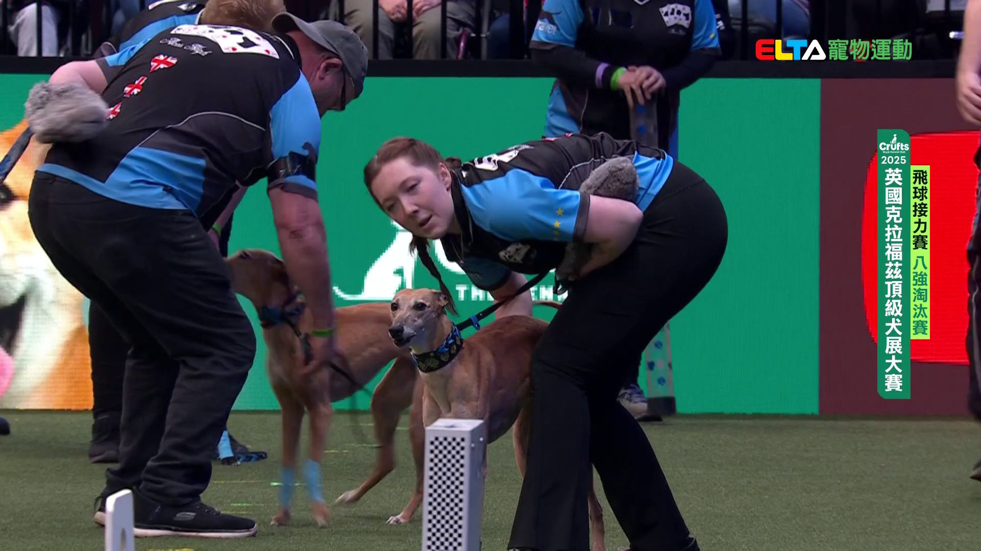 青少年組 決賽/八強淘汰賽｜2025 Crufts 飛球接力賽
