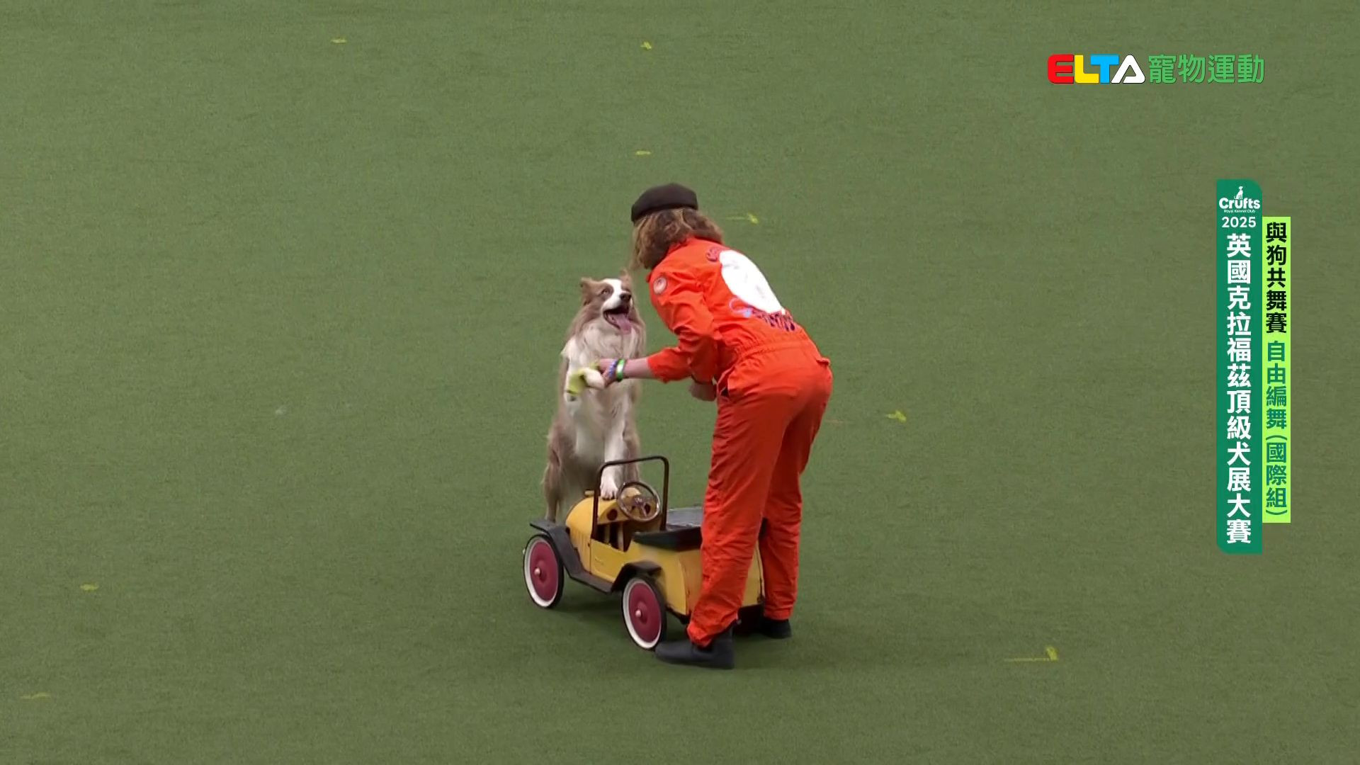 自由編舞 國際組｜2025 Crufts 與狗共舞賽