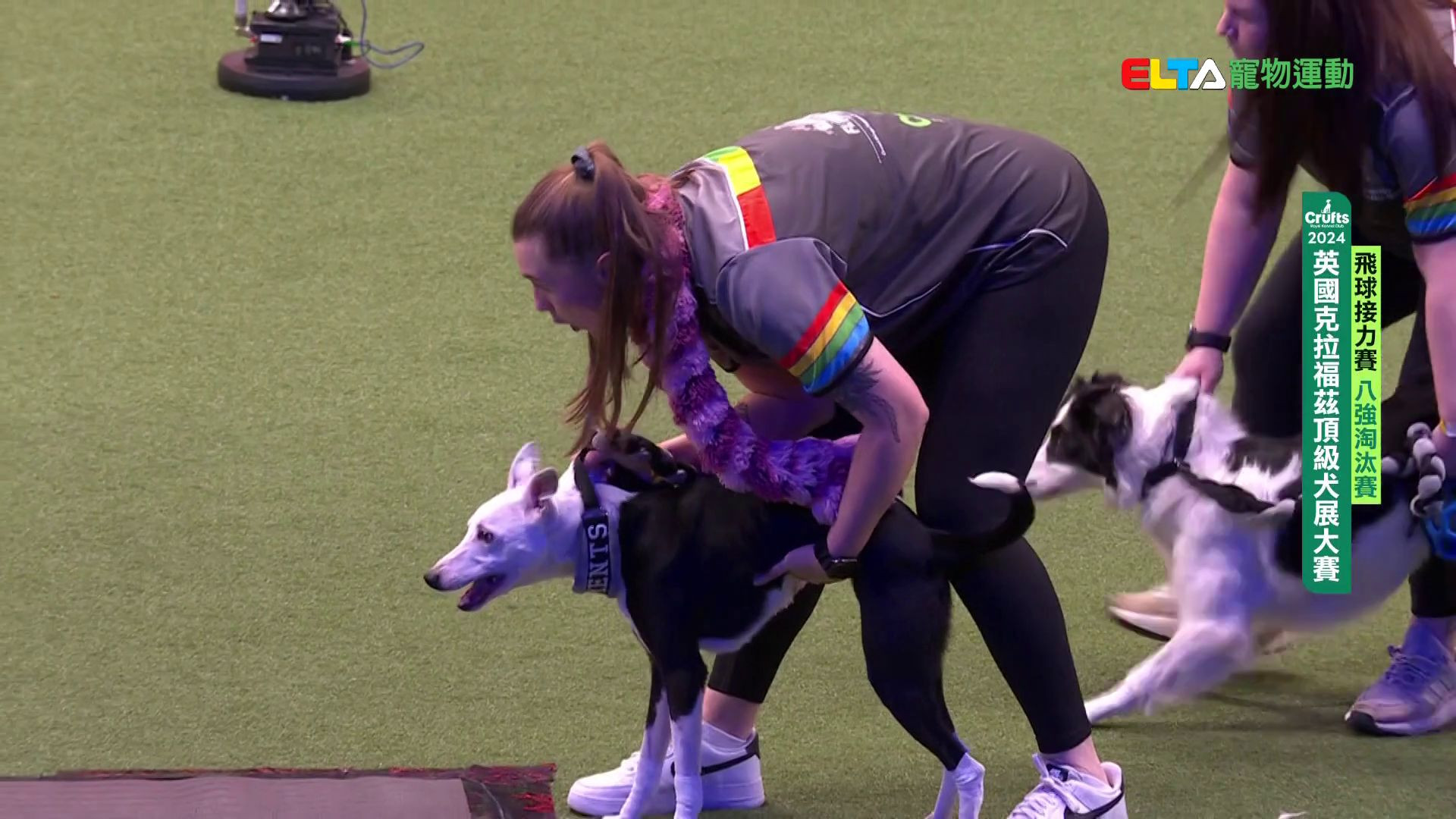 青少年組 決賽/八強淘汰賽｜2024 Crufts 飛球接力賽