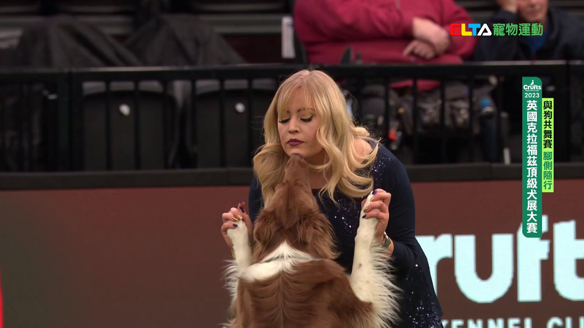 腳側隨行｜2023 Crufts 與狗共舞賽