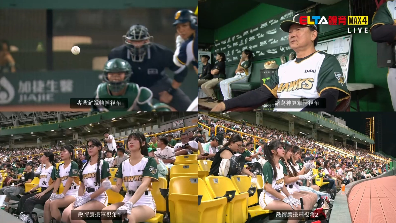5/28 ELTA GO! 台鋼雄鷹沉浸式多視角直播