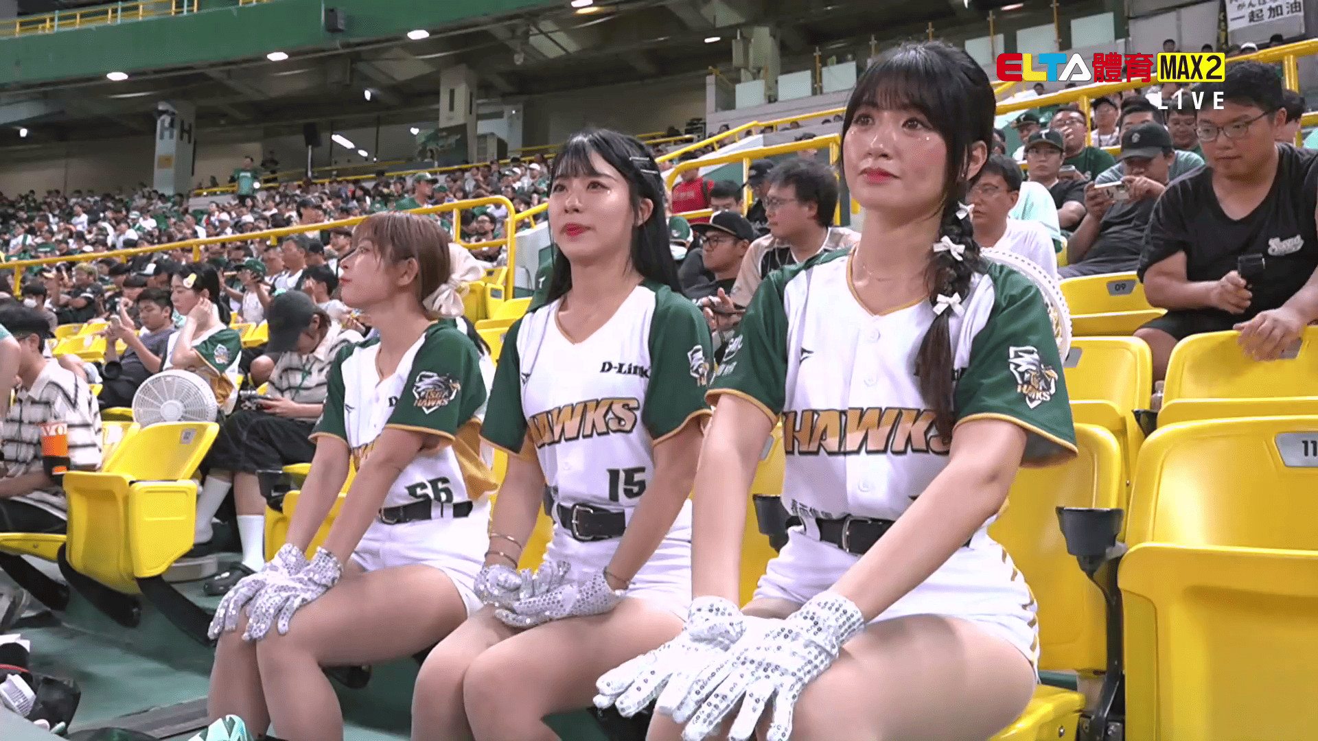 6/17 ELTA GO! 台鋼雄鷹沉浸式多視角直播