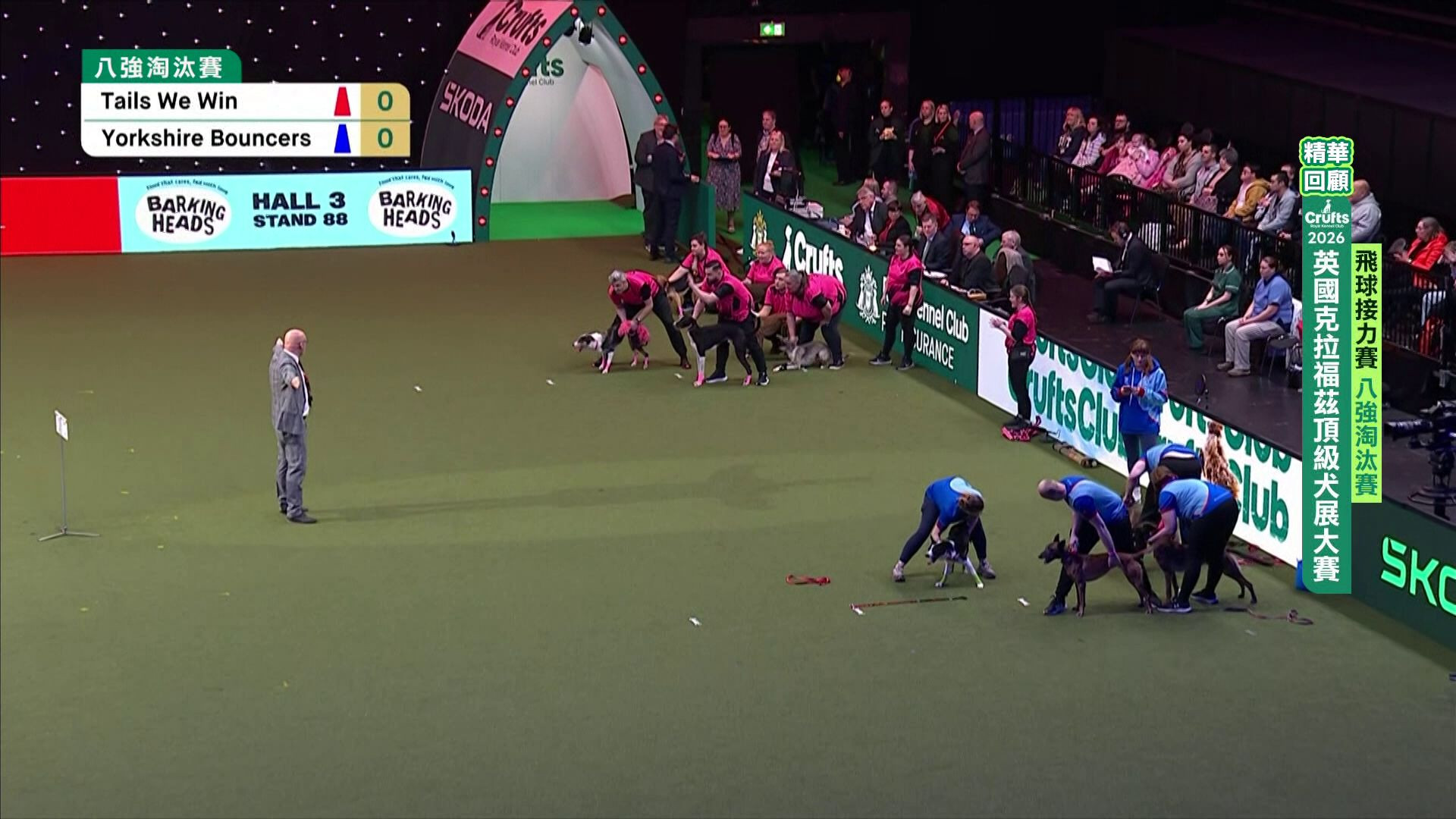 2026 Crufts 飛球接力賽 精華回顧