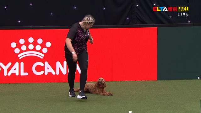 3/5 2026 Crufts英國克拉福茲頂級犬展大賽 第1日 #2 (原音)