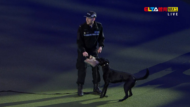 3/9 2026 Crufts 第4日 #4(原音)