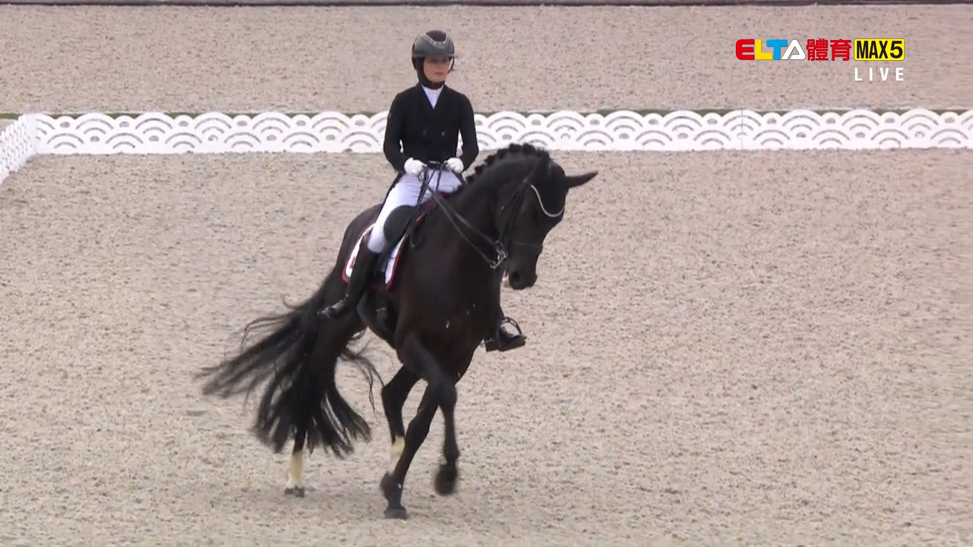 9/27 亞運 中華隊 馬術 馬場馬術個人賽決賽 (原音)