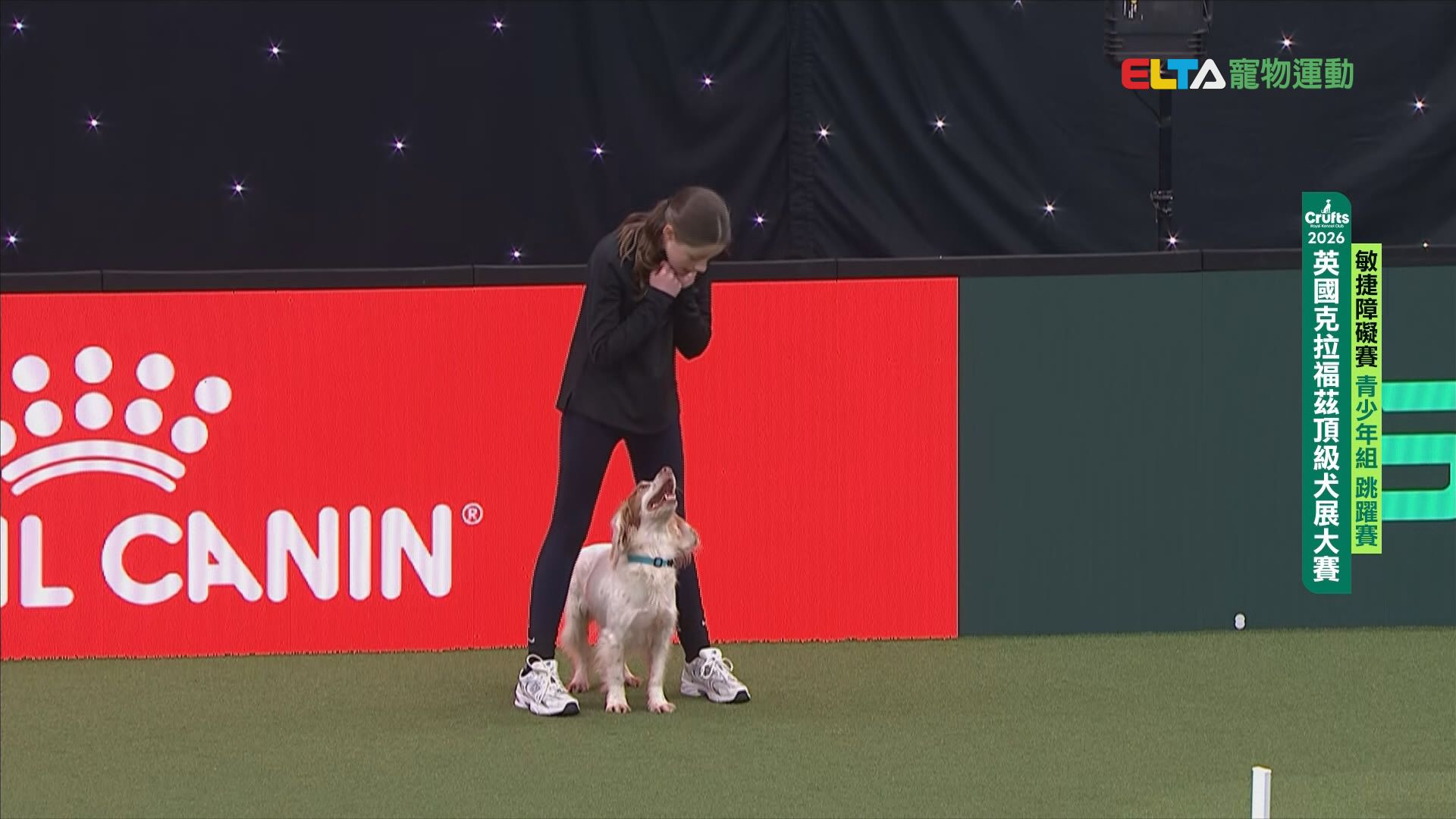 青少年組 跳躍賽｜2026 Crufts 敏捷障礙賽