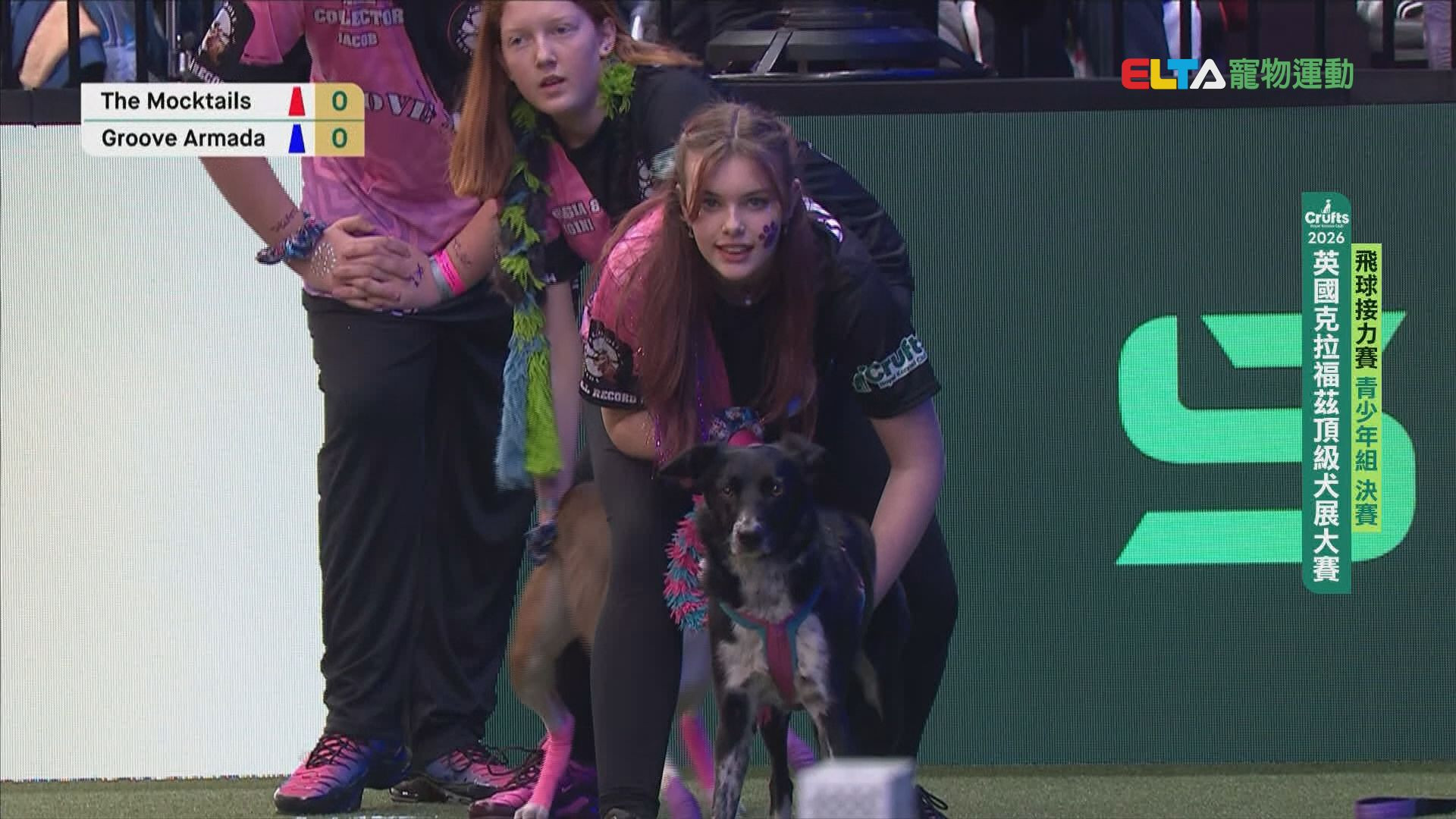 青少年組 決賽 / 八強淘汰賽｜2026 Crufts 飛球接力賽