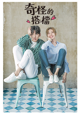 奇怪的搭檔