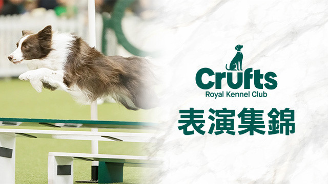 Crufts表演集錦