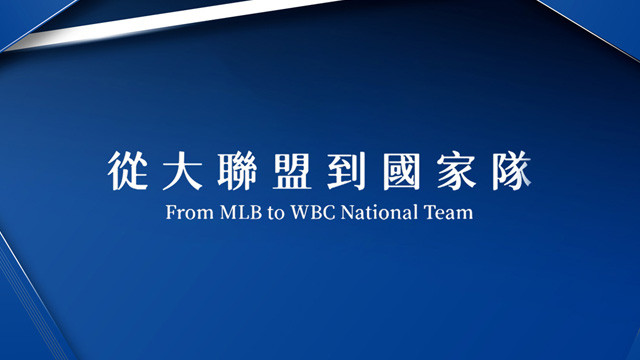 從大聯盟到國家隊