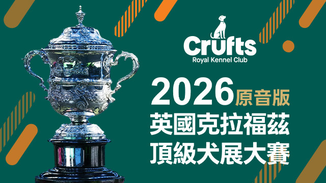 2026 Crufts 原音版 英國克拉福茲頂級犬展大賽